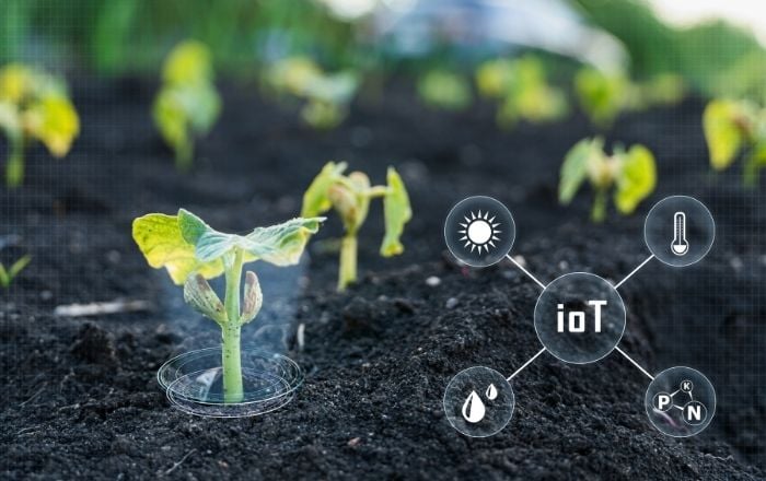 Já parou para pensar como um pequeno sensor no meio de uma plantação ou um colar em uma vaca pode revolucionar a produção de alimentos no Brasil? O agronegócio, um dos pilares da nossa economia, está passando por uma verdadeira revolução silenciosa, impulsionada pela IoT no agronegócio brasileiro. A tecnologia, que antes parecia coisa de filme de ficção científica, hoje é uma realidade palpável, trazendo inovações que otimizam a produção, reduzem custos e aumentam a sustentabilidade.