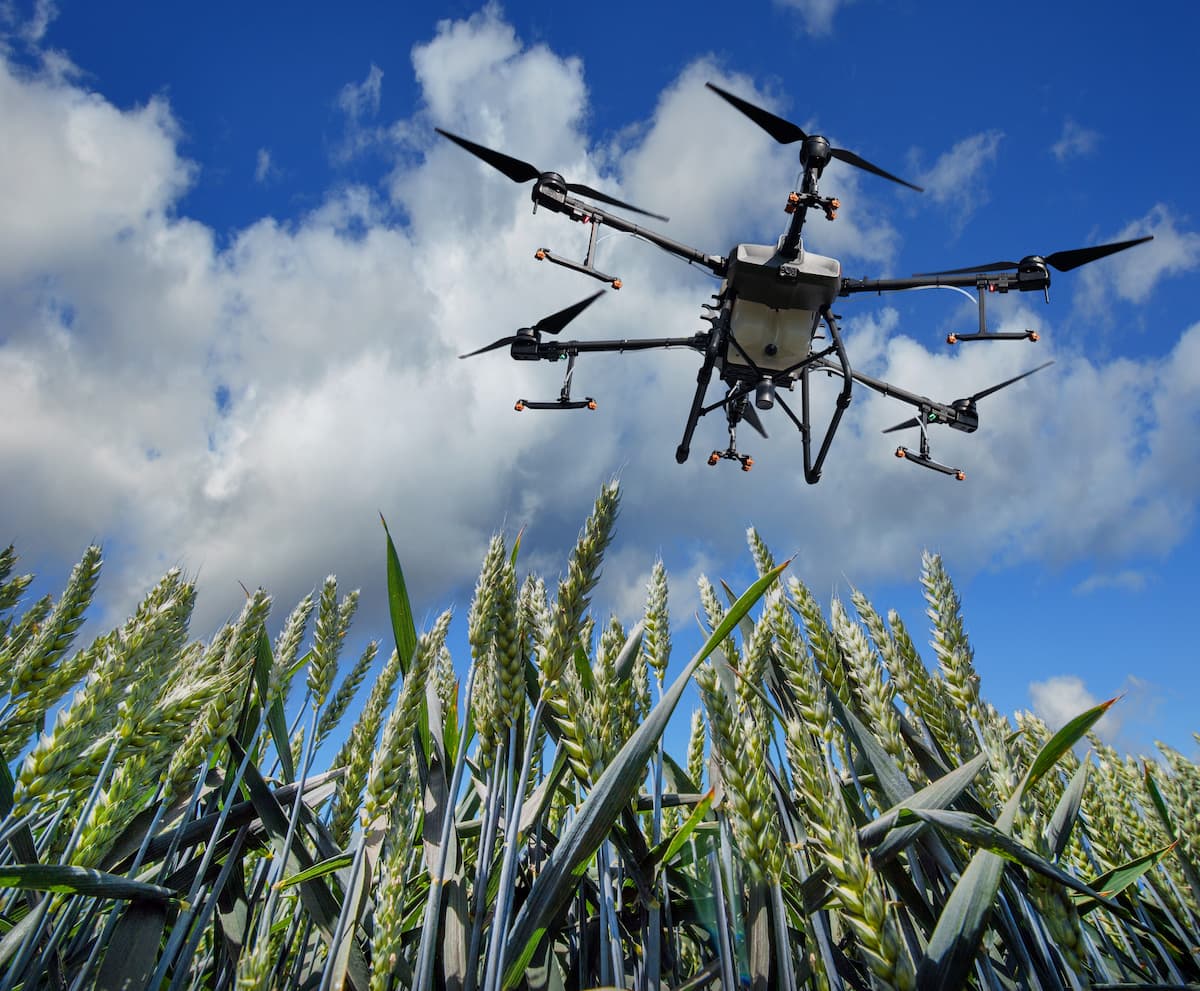 O funcionamento da agricultura de precisão depende de três etapas fundamentais: coleta de dados, análise inteligente e ação localizada. Tudo começa com a instalação de sensores, drones ou equipamentos conectados via IoT que coletam informações detalhadas sobre o solo, o clima, o crescimento das plantas, a presença de pragas e outros fatores relevantes.