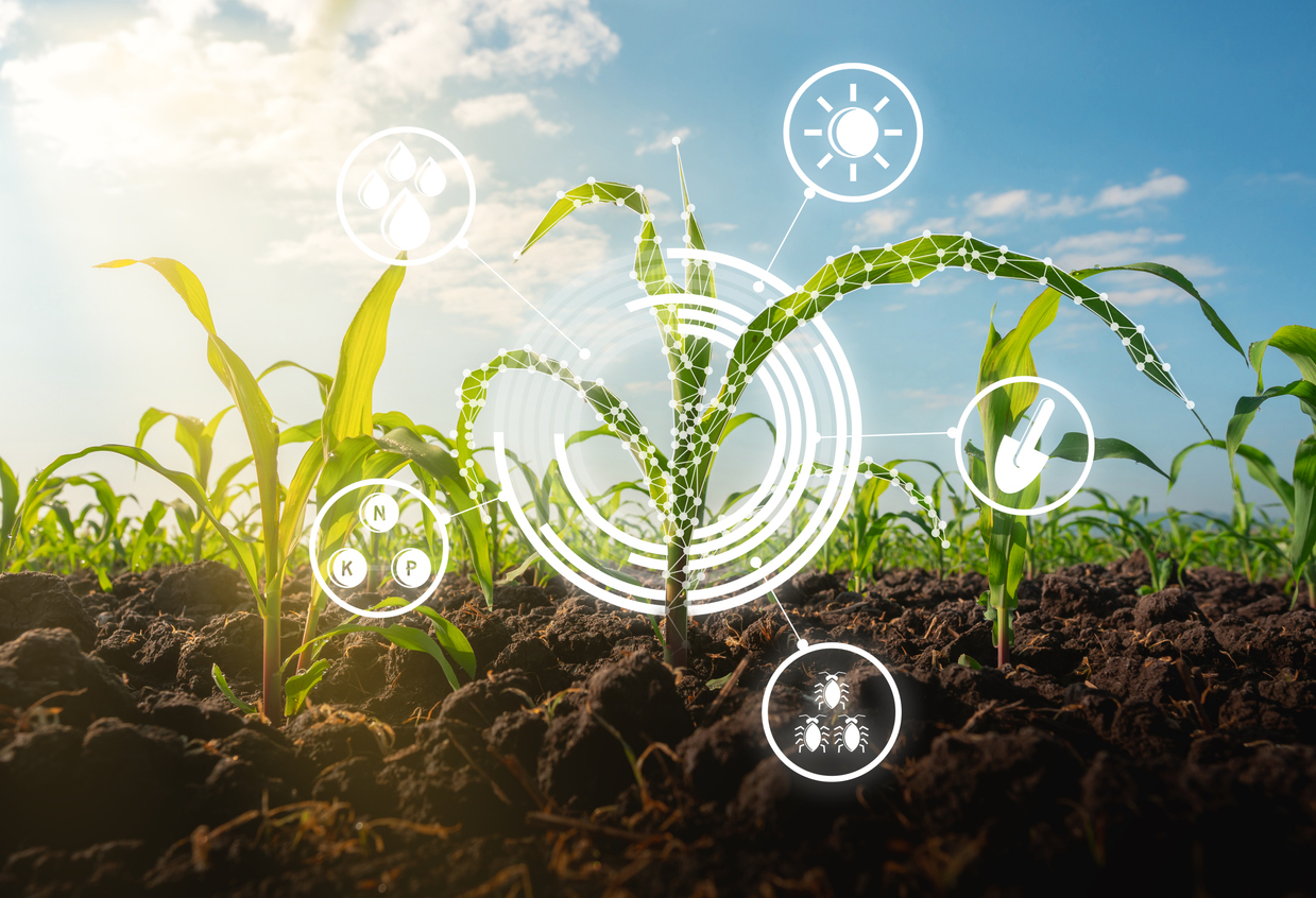O potencial da IoT no campo vai muito além do que já é praticado hoje. O futuro reserva inovações que prometem transformar ainda mais o agronegócio.