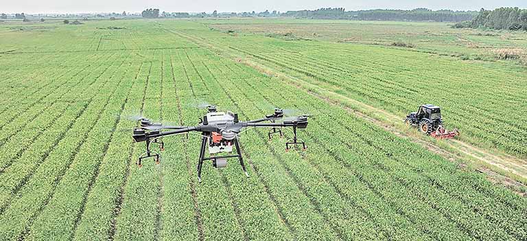 Sim. Embora a IOT Conect não fabrique os sensores agrícolas, ela é uma provedora de dados e soluções de conectividade essenciais para que a IoT funcione no campo. A empresa oferece serviços como Chip M2M e Link Dedicado, garantindo que as informações coletadas pelos dispositivos cheguem de forma segura e eficiente, possibilitando a implementação de projetos de automação e monitoramento.